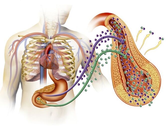 Insulin secretion is normal after taking Glucoren