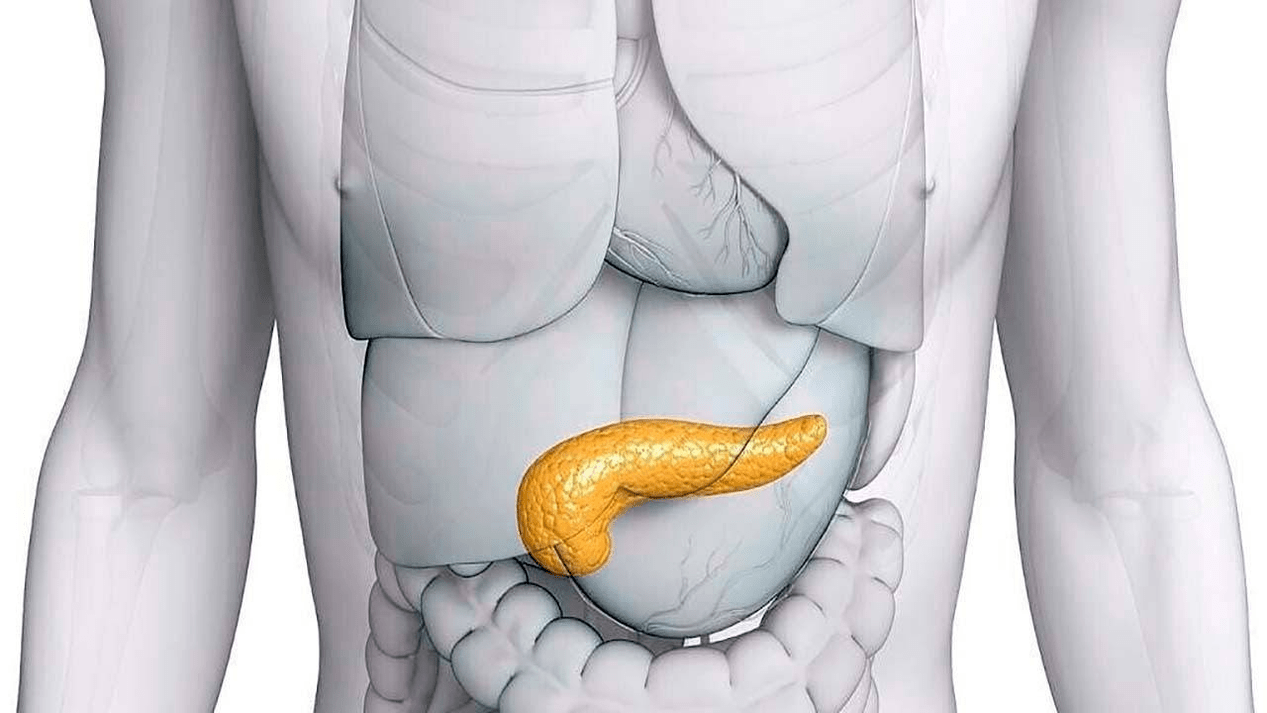 Pancreatic health after taking Glucoren